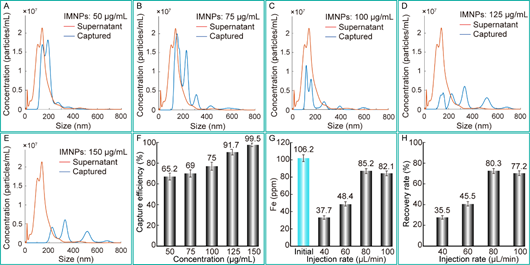 1630589780126097061.png image.png