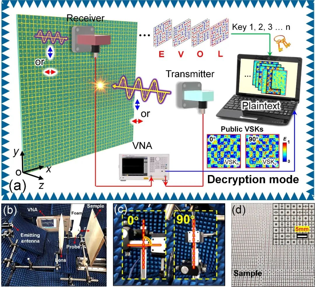 1657818810750037034.jpg 2.jpg
